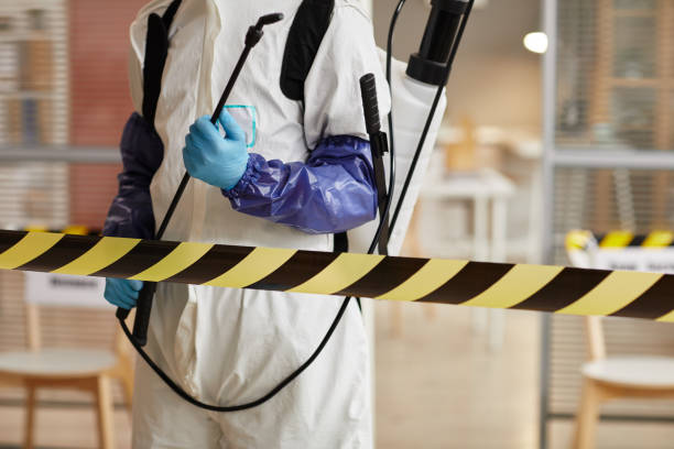 Professional Sewage Cleanup technician working in Covington, VA