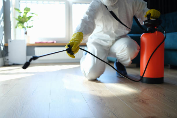Reliable Sewage Cleanup contractor in Covington, VA by Trauma Clean Pros